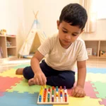 Montessori color sorting toy